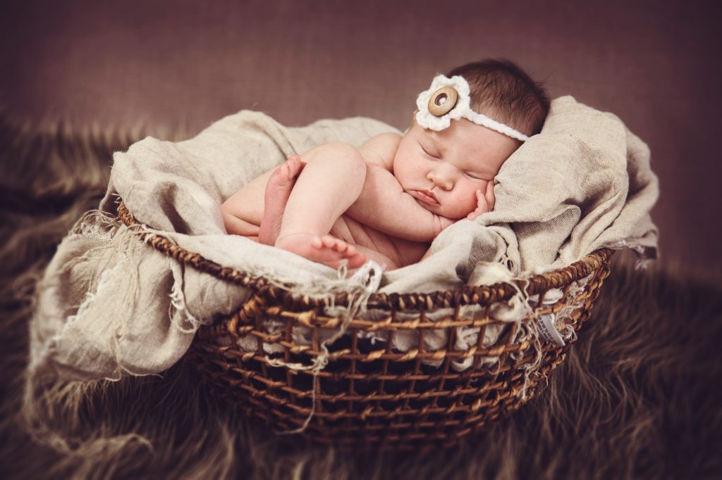 Palmerston North newborn portrait photography of baby in a basket